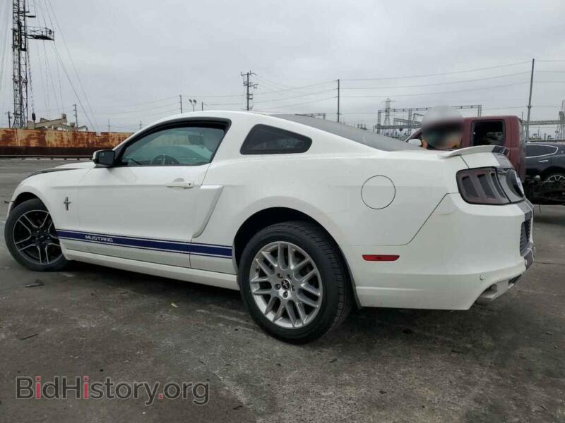 2013 Ford ALL MODELS (VIN 1ZVBP8AM5D5271663) — фото 2 из 12