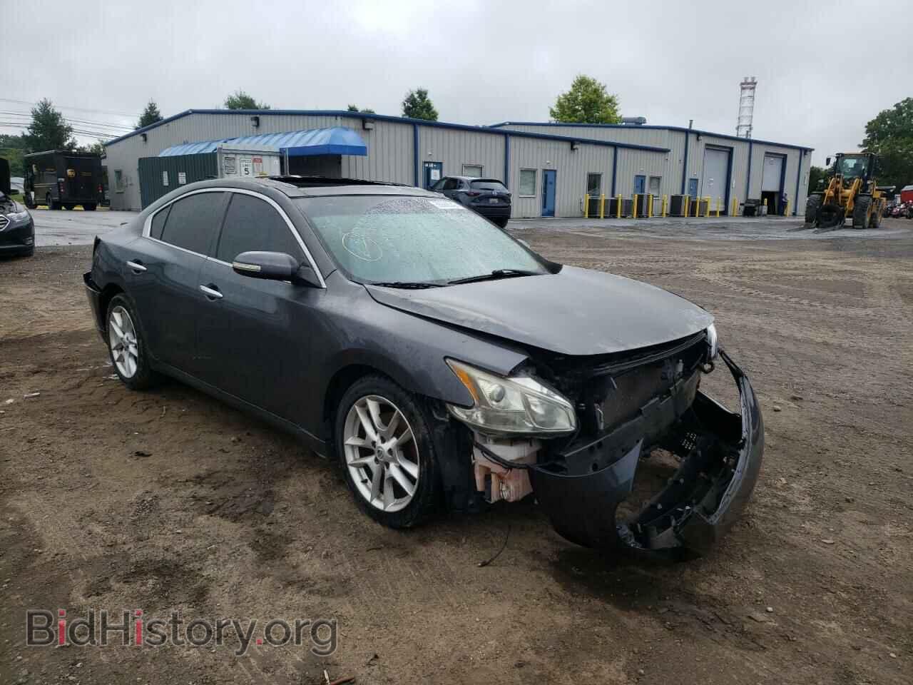 Фотография 1N4AA5AP6BC843556 - NISSAN MAXIMA 2011