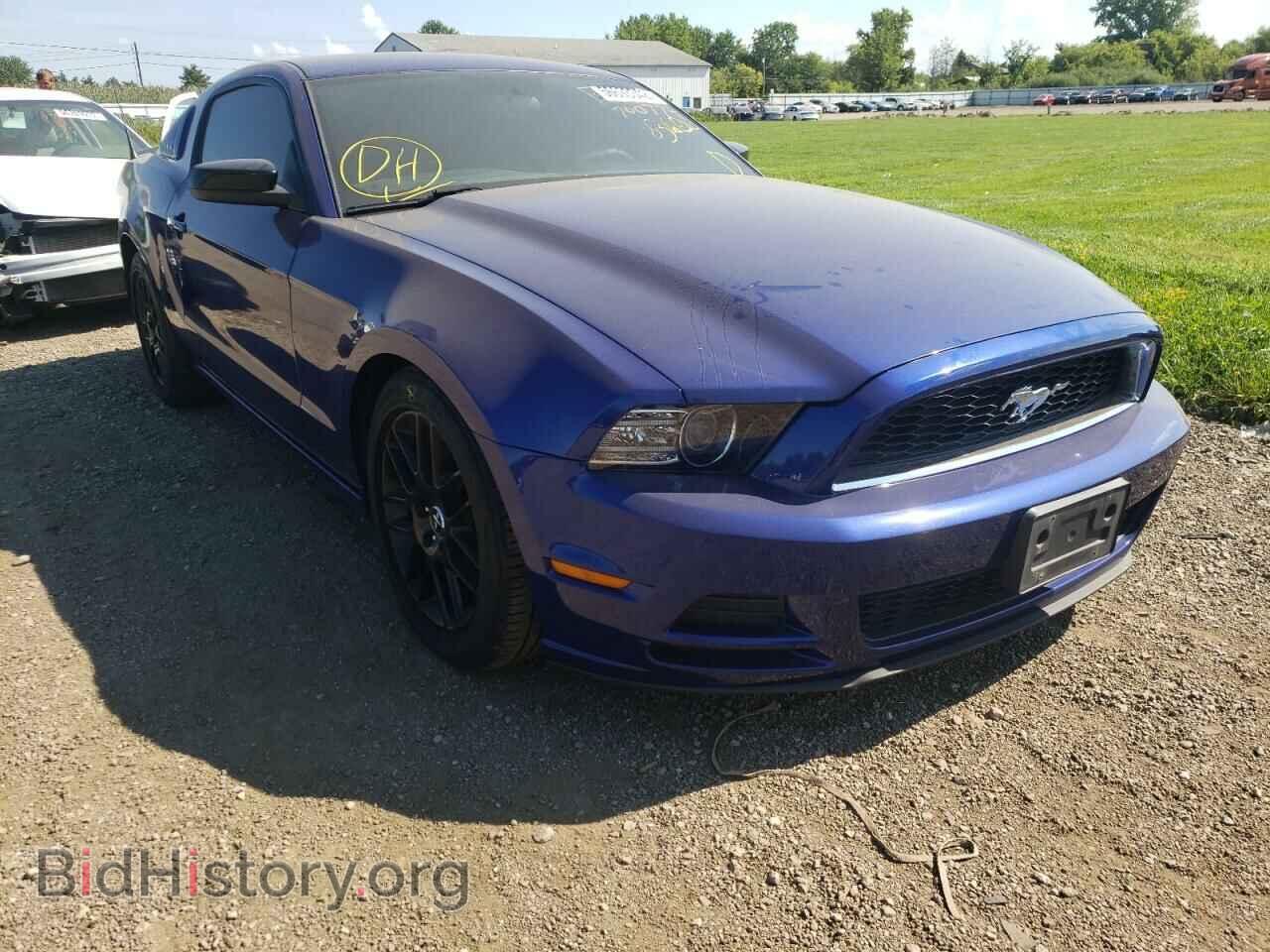 Фотография 1ZVBP8AM6E5221419 - FORD ALL Models 2014