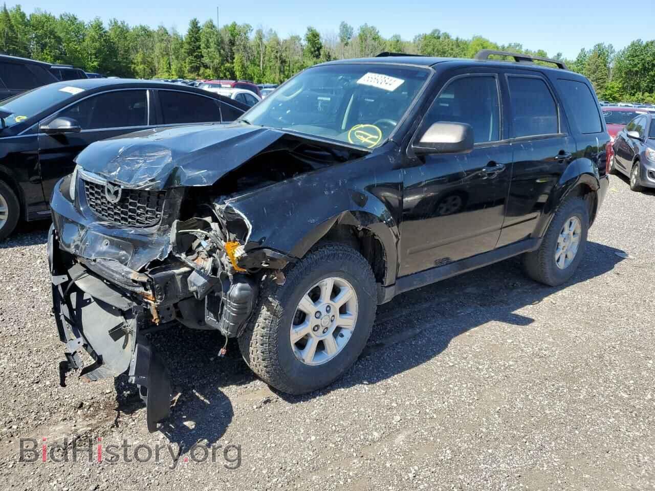 Фотография 4F2CZ02799KM05997 - MAZDA TRIBUTE 2009