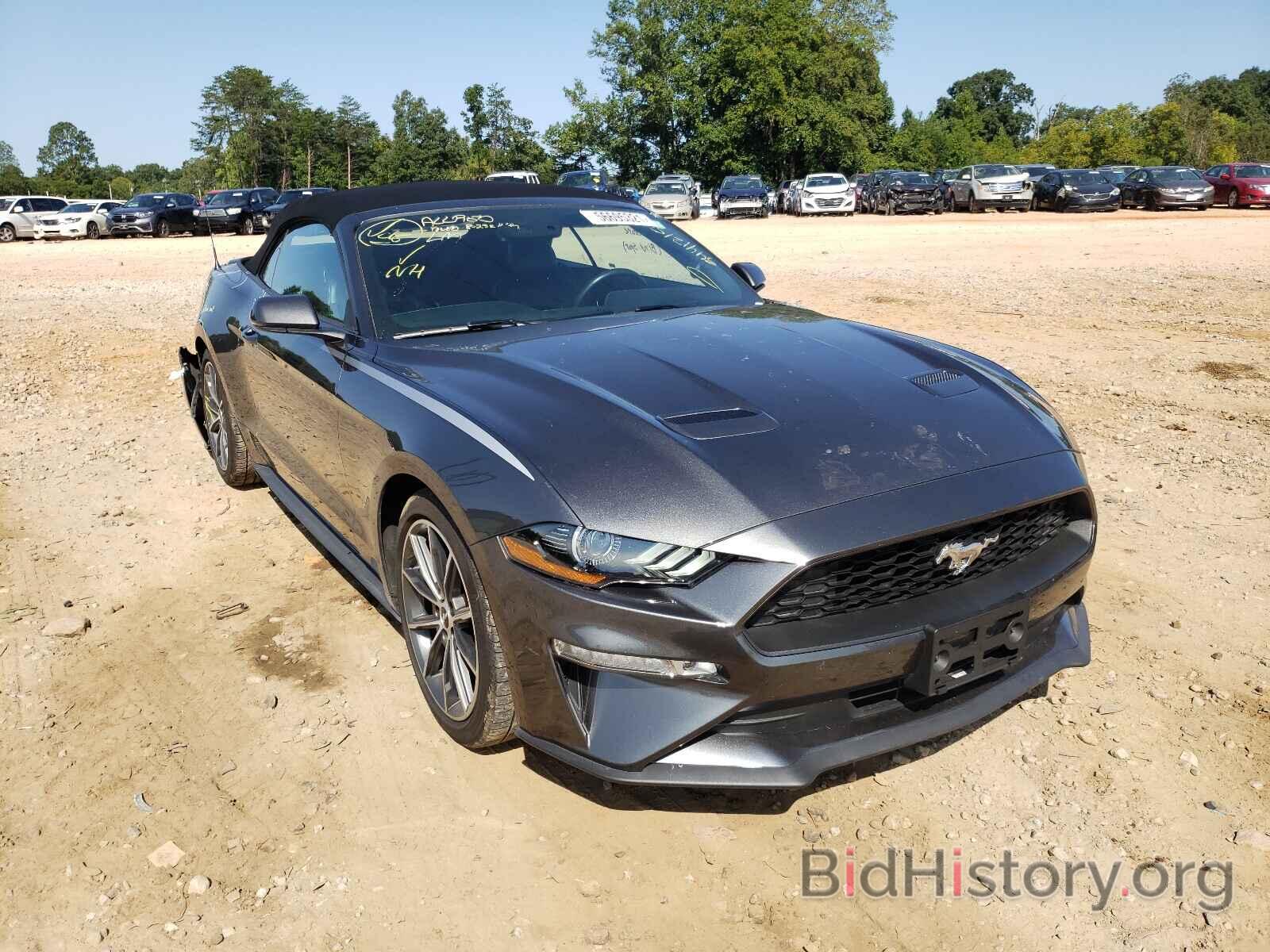 Photo 1FATP8UH2K5172713 - FORD MUSTANG 2019