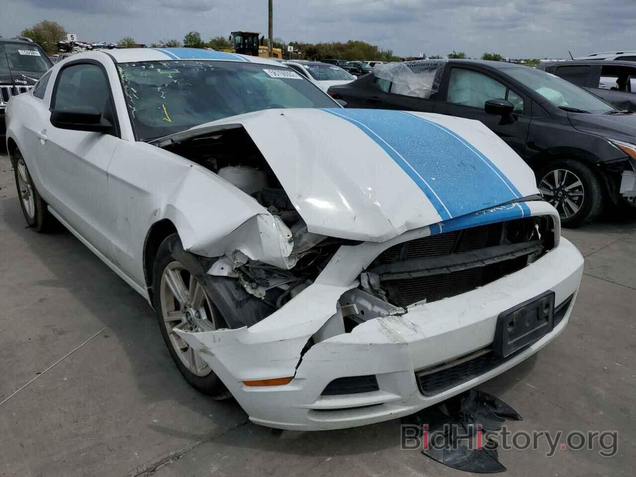 Photo 1ZVBP8AM2E5334543 - FORD MUSTANG 2014