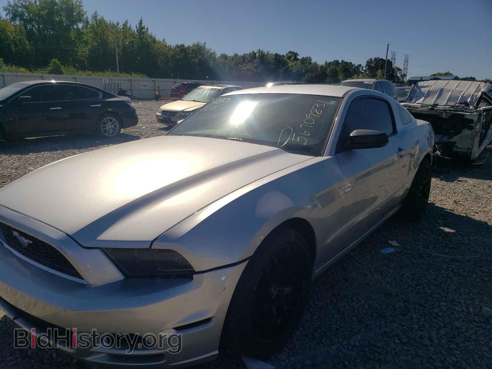 2014 FORD MUSTANG - VIN: 1ZVBP8AM8E5290368 - Фото 2