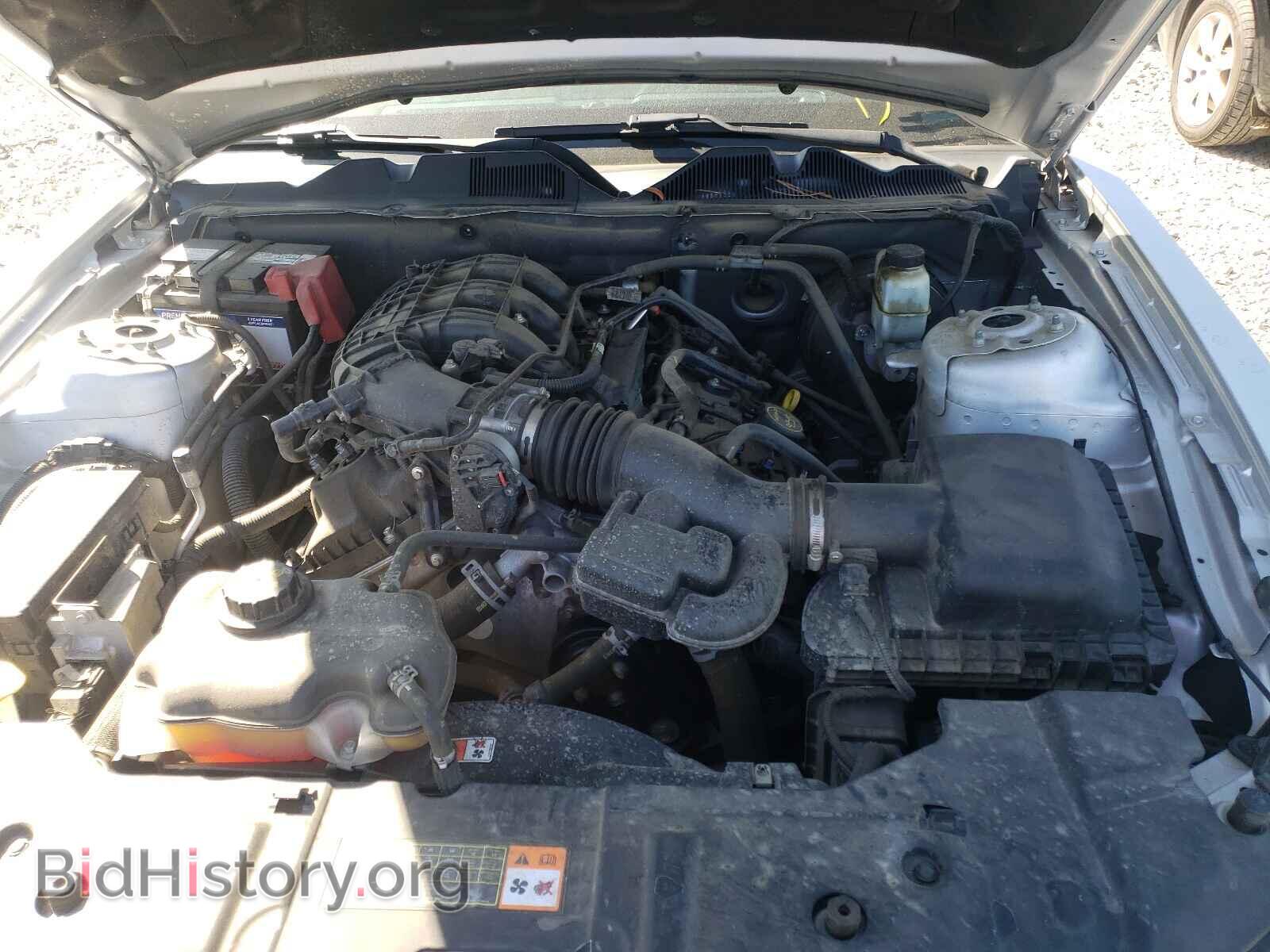 2014 FORD MUSTANG - VIN: 1ZVBP8AM8E5290368 - Фото 7