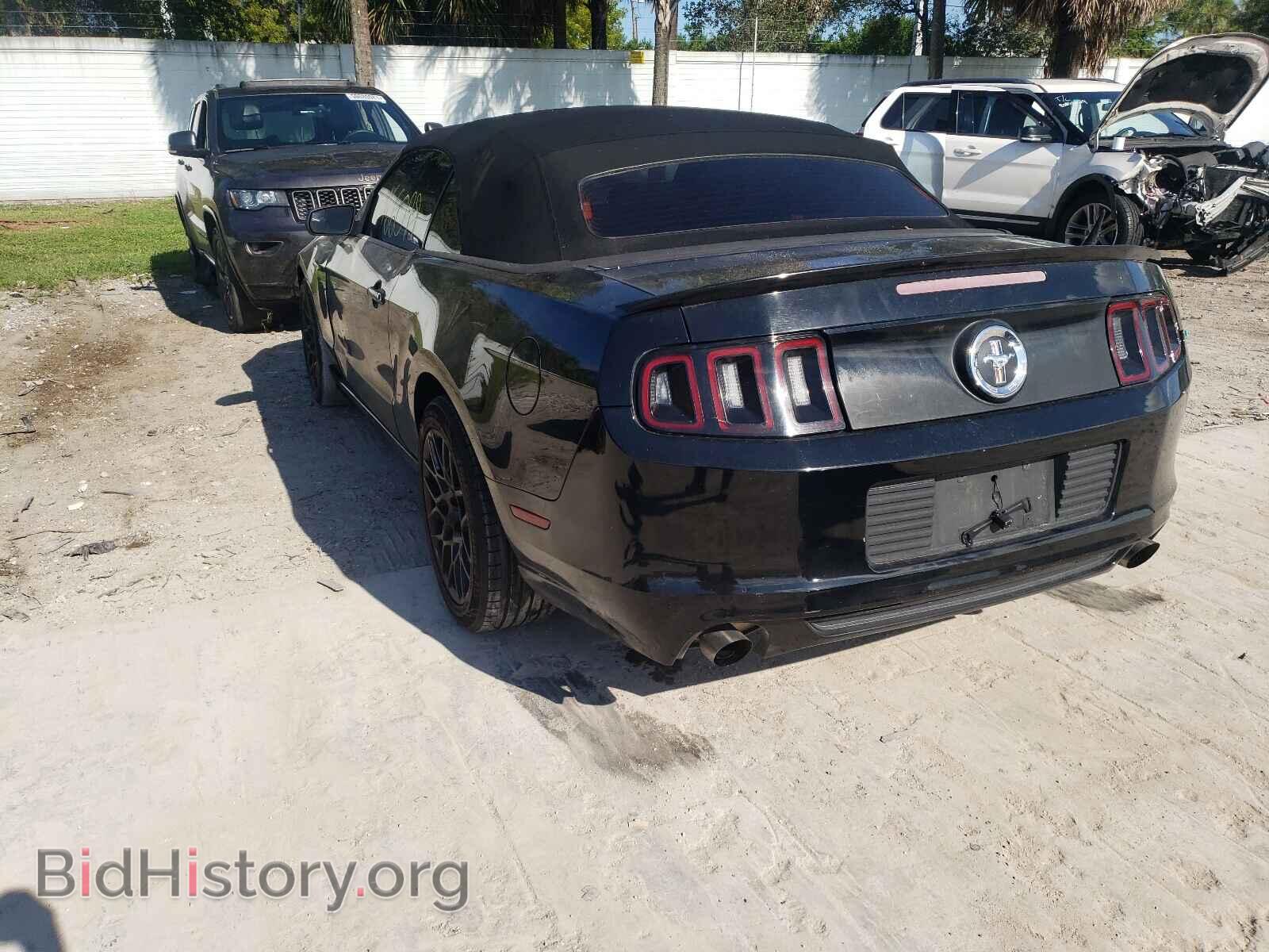 2013 FORD MUSTANG - VIN: 1ZVBP8EM8D5217400 - Фото 3