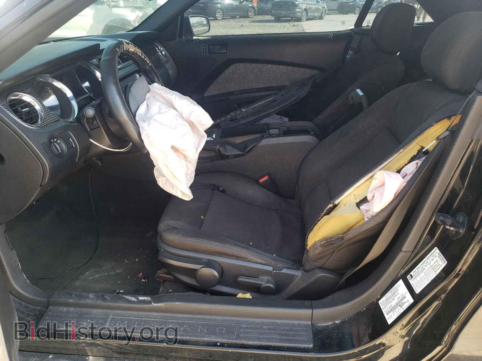 2013 FORD MUSTANG - VIN: 1ZVBP8EM8D5217400 - Фото 6