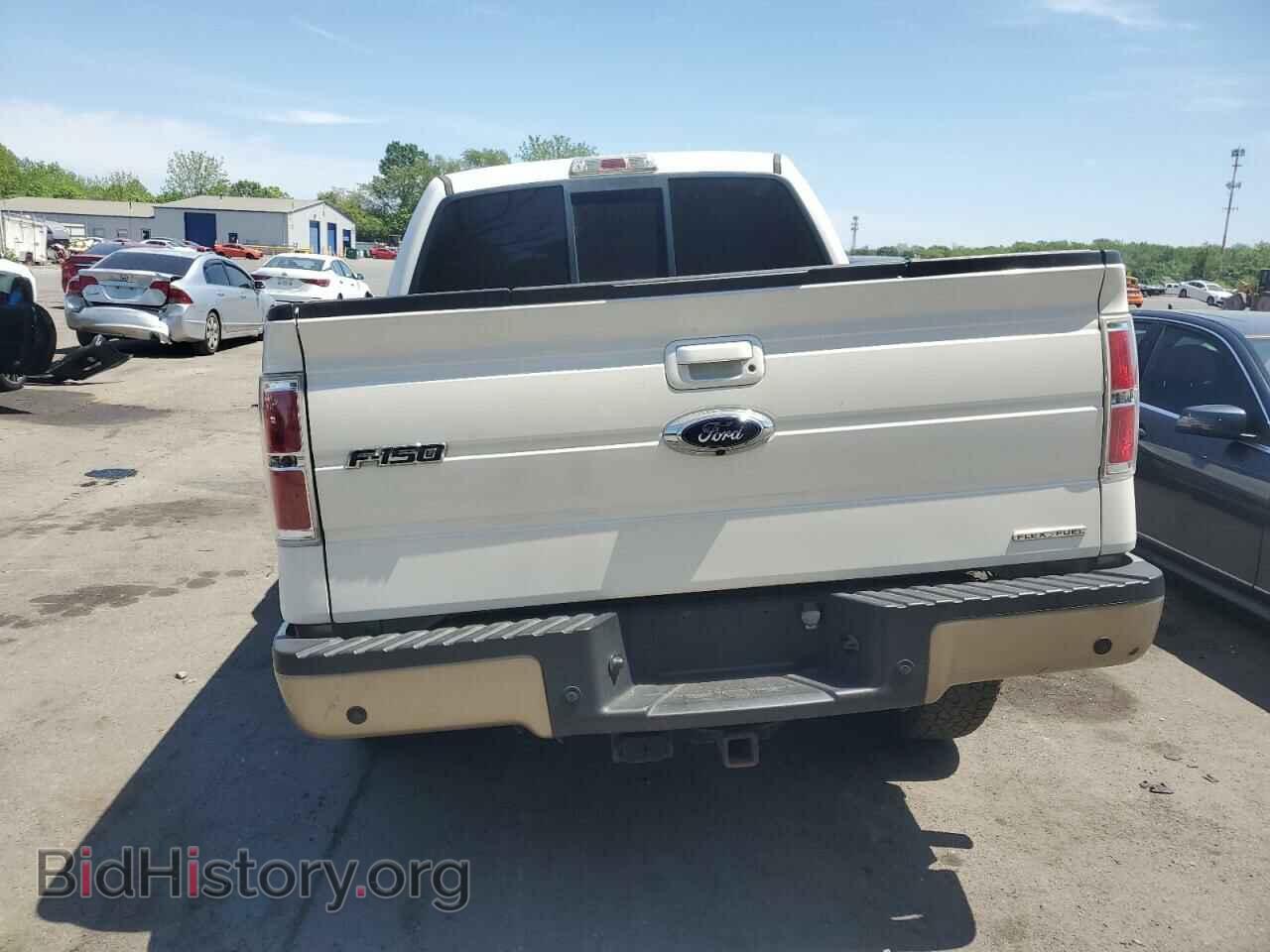 2013 FORD F-150 - VIN: 1FTFW1EF0DFB16975 - Фото 6