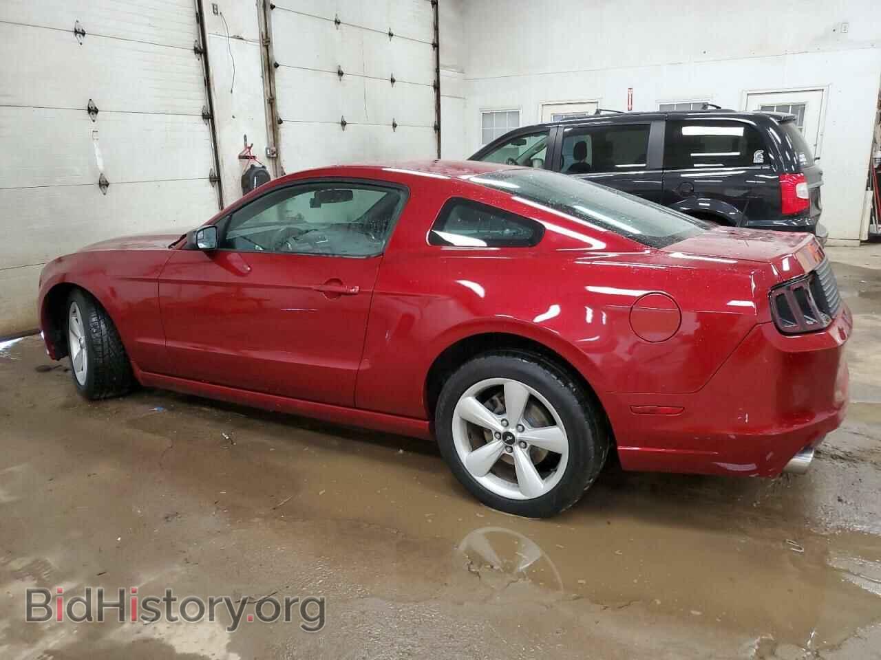 2014 FORD ALL Models - VIN: 1ZVBP8AM5E5217006 - Фото 2