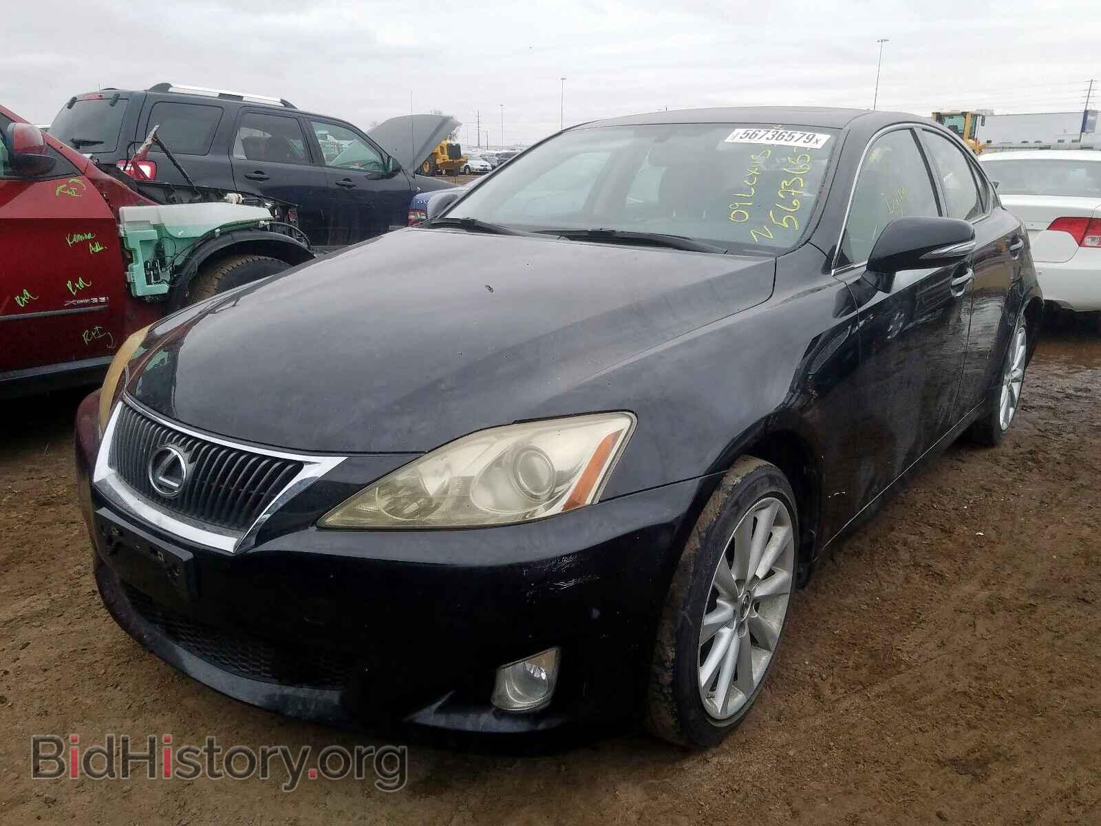2009 LEXUS IS - VIN: JTHCK262792028700 - Фото 2