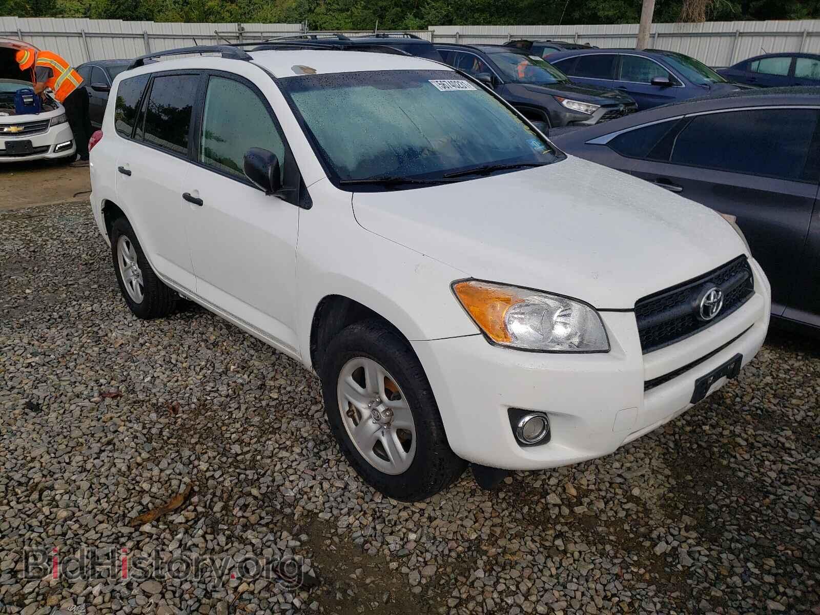 Фотография 2T3BF4DV8BW118624 - TOYOTA RAV4 2011