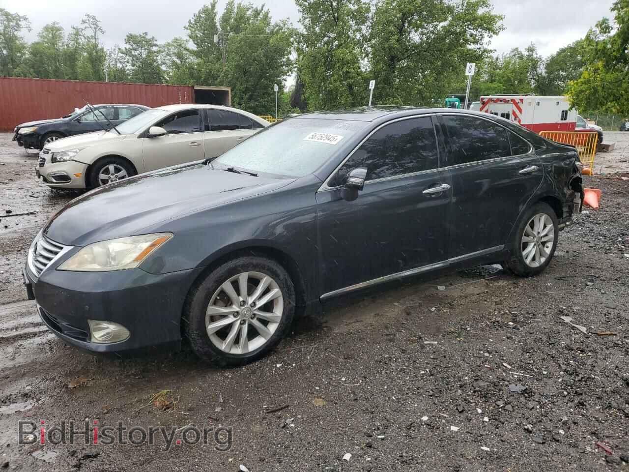 Фотография JTHBK1EG5A2365602 - LEXUS ES350 2010