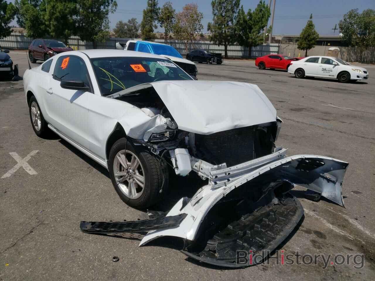 Photo 1ZVBP8AM4E5313578 - FORD MUSTANG 2014