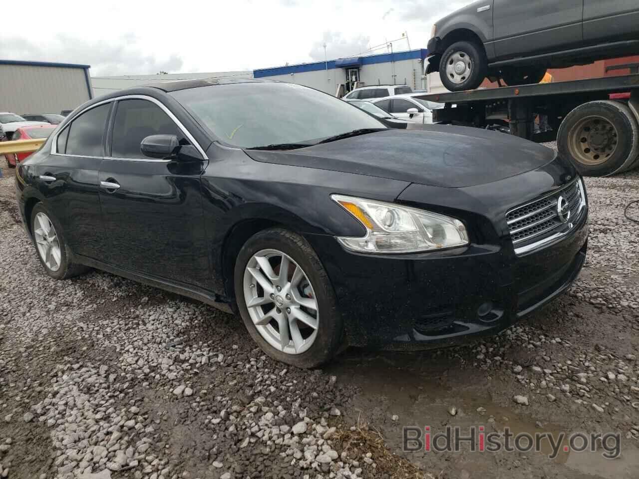 Photo 1N4AA51E99C820409 - NISSAN MAXIMA 2009