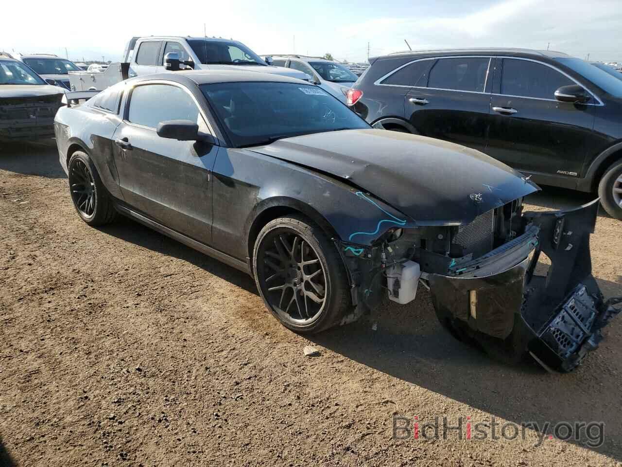 Photo 1ZVBP8AM4D5221109 - FORD MUSTANG 2013