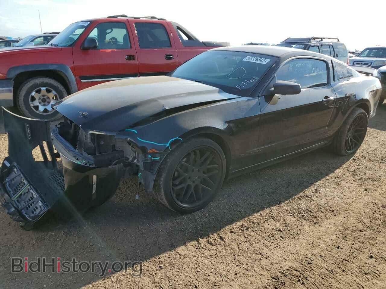 2013 FORD MUSTANG - VIN: 1ZVBP8AM4D5221109 - Фото 2