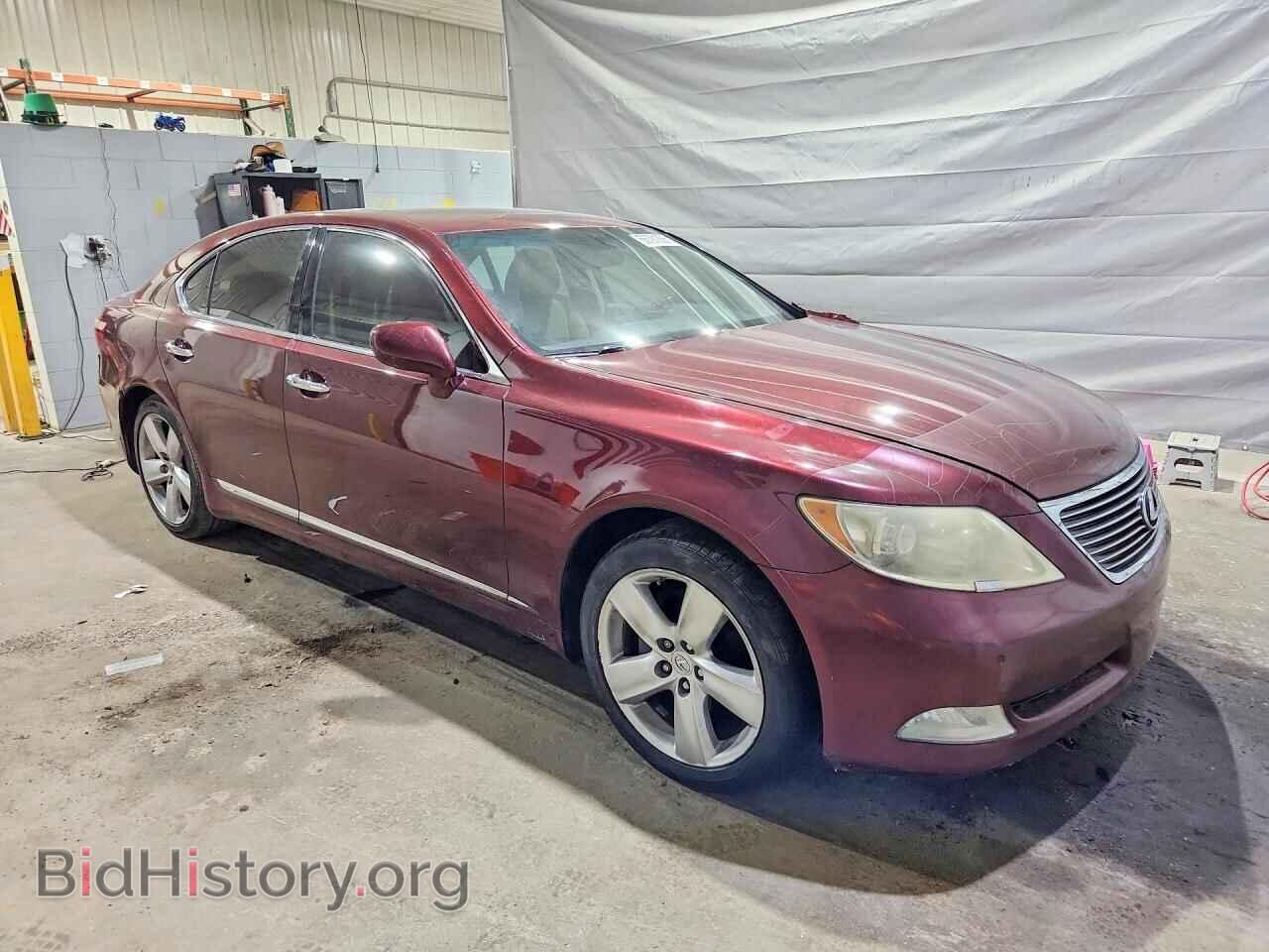 2009 LEXUS LS460 - VIN: JTHBL46F895087552 - Photo 4