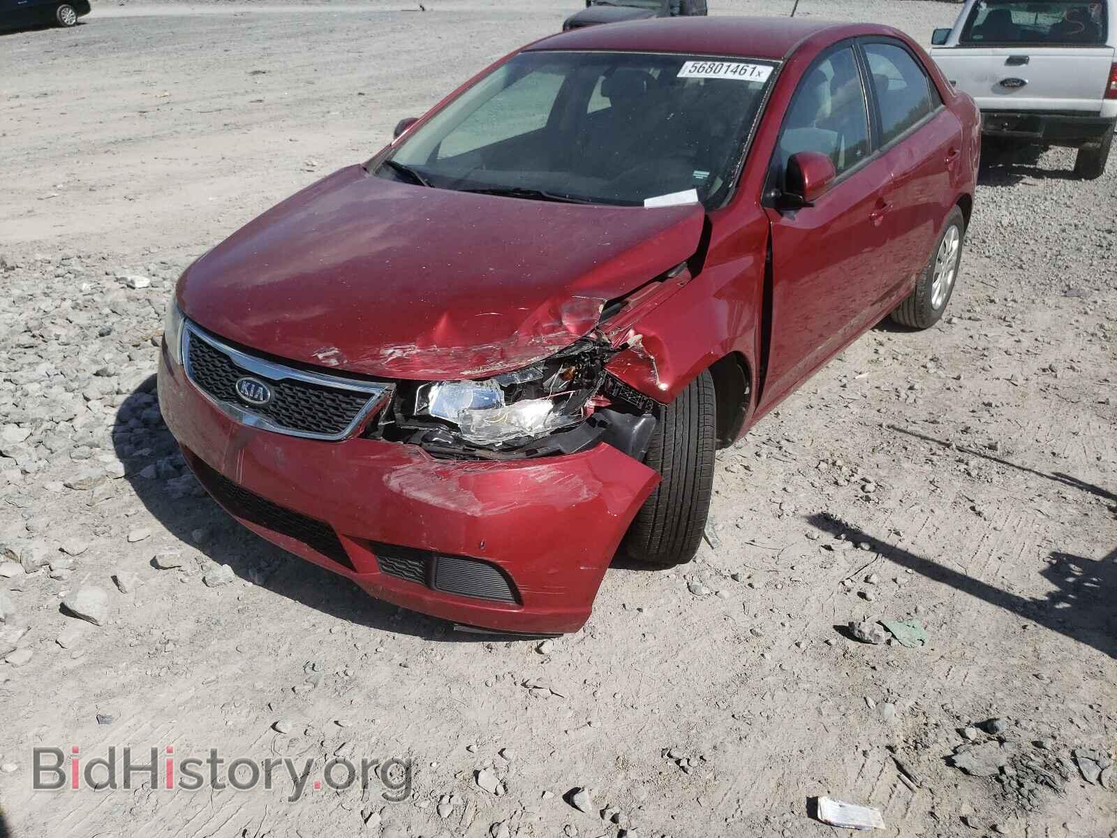 2012 KIA FORTE - VIN: KNAFU4A27C5517550 - Фото 2