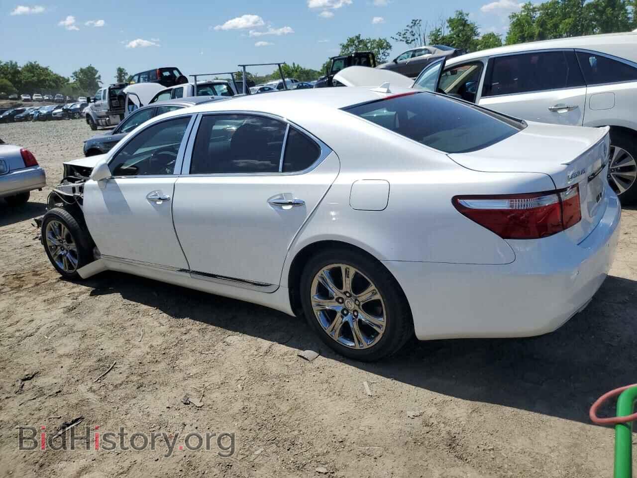 2007 LEXUS LS460 - VIN: JTHGL46FX75002522 - Фото 2