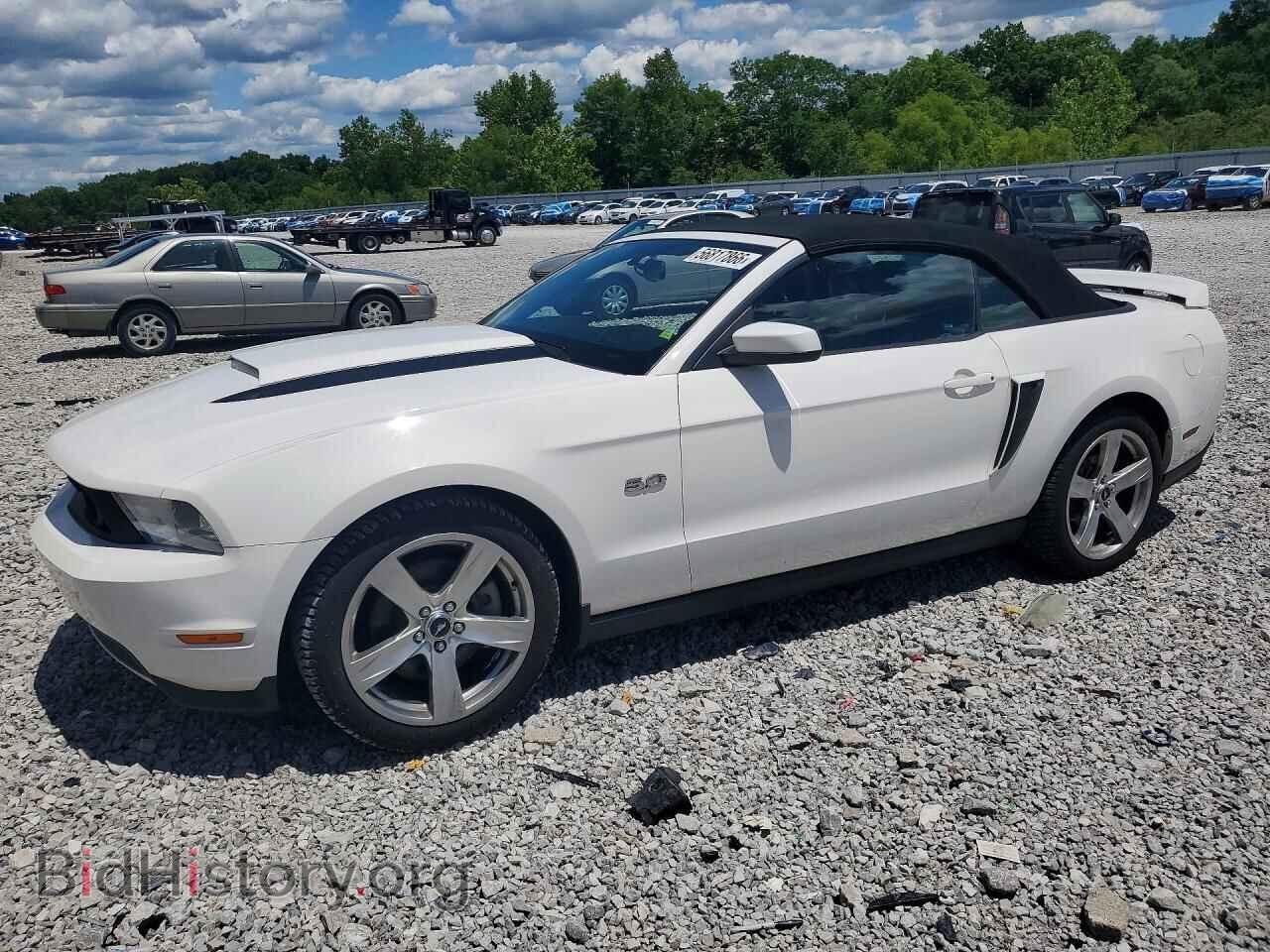 Фотография 1ZVBP8FF8C5214236 - FORD MUSTANG 2012