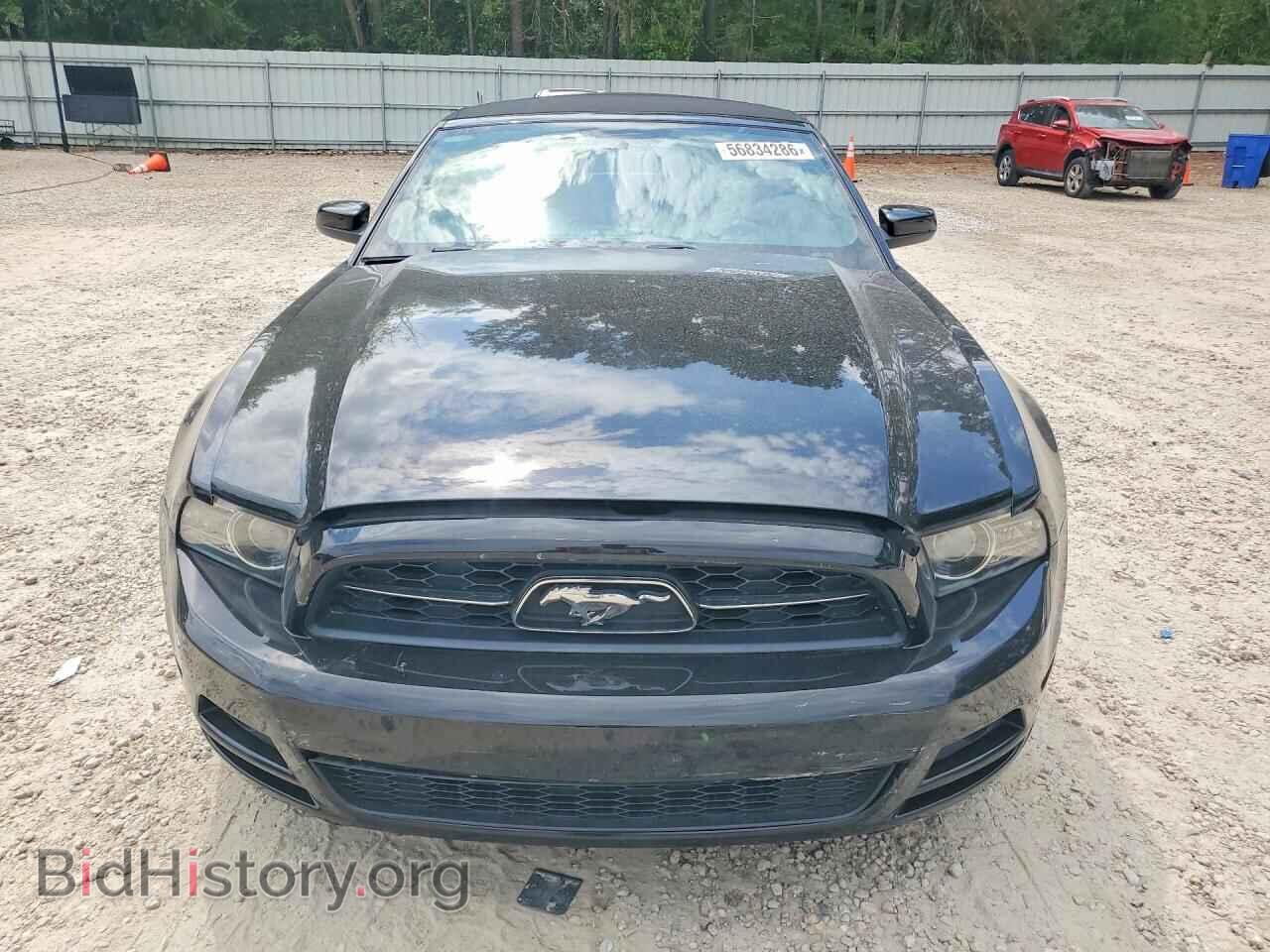 2013 FORD MUSTANG - VIN: 1ZVBP8EM3D5281537 - Фото 5