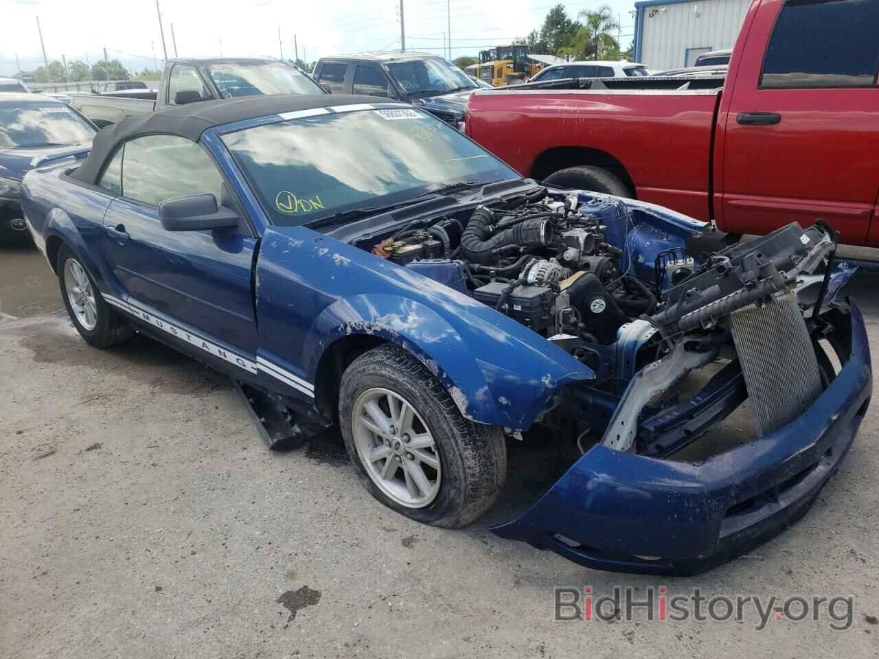 Photo 1ZVFT84N665235257 - FORD MUSTANG 2006