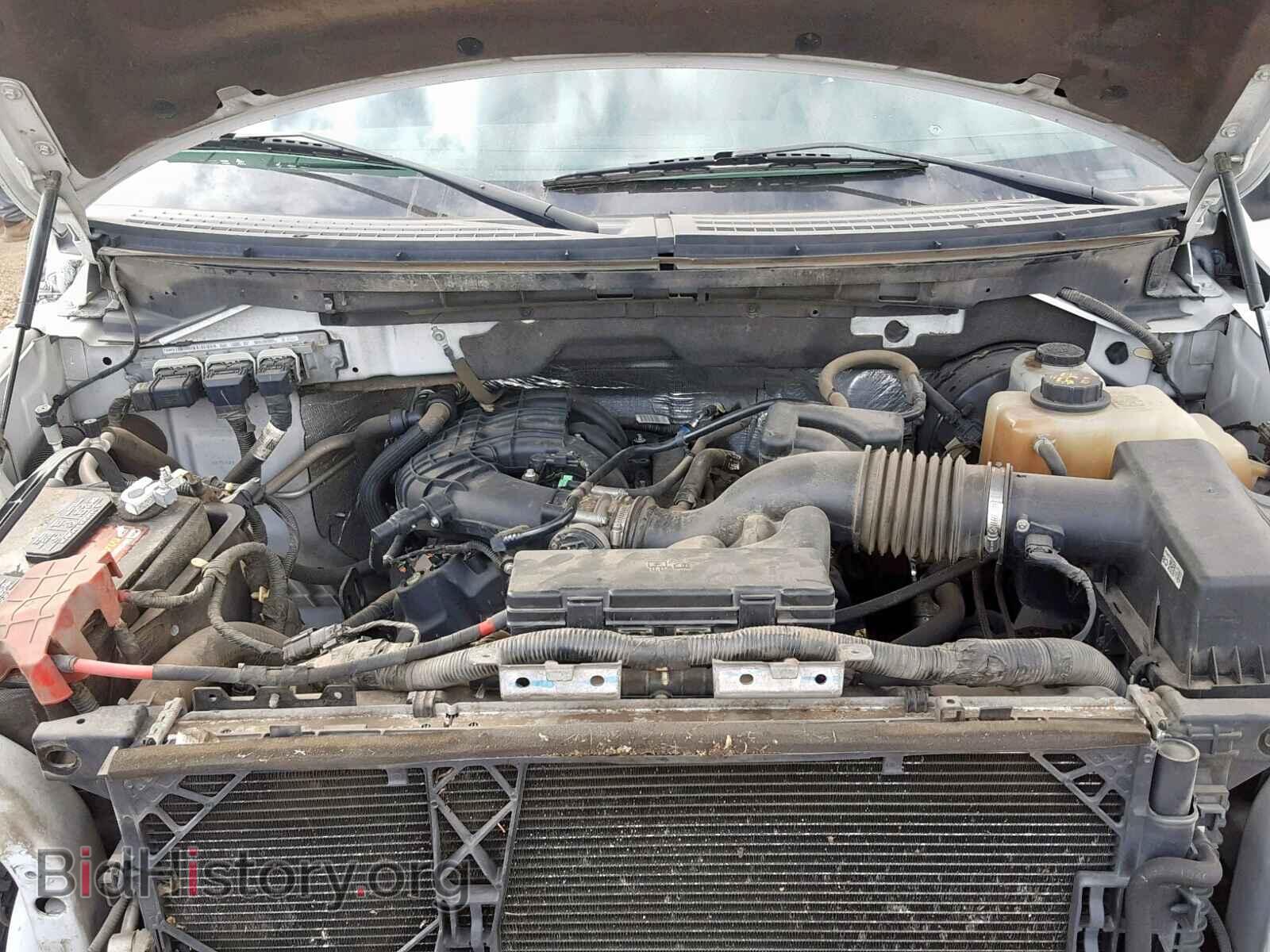2013 FORD F150 - VIN: 1FTMF1CM2DFB22317 - Фото 7