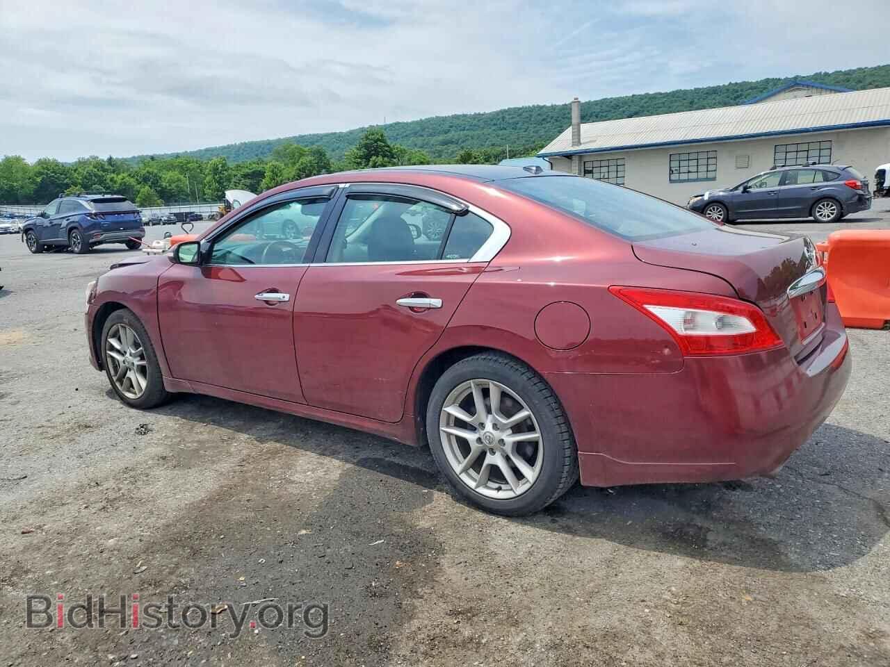 2009 NISSAN MAXIMA - VIN: 1N4AA51E19C825166 - Фото 2