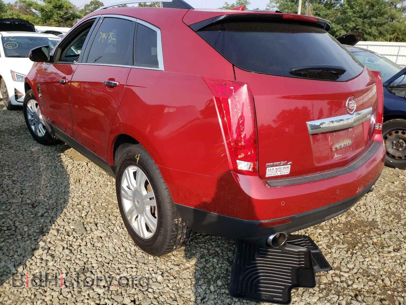 2010 CADILLAC SRX - VIN: 3GYFNDEY2AS604865 - Фото 3