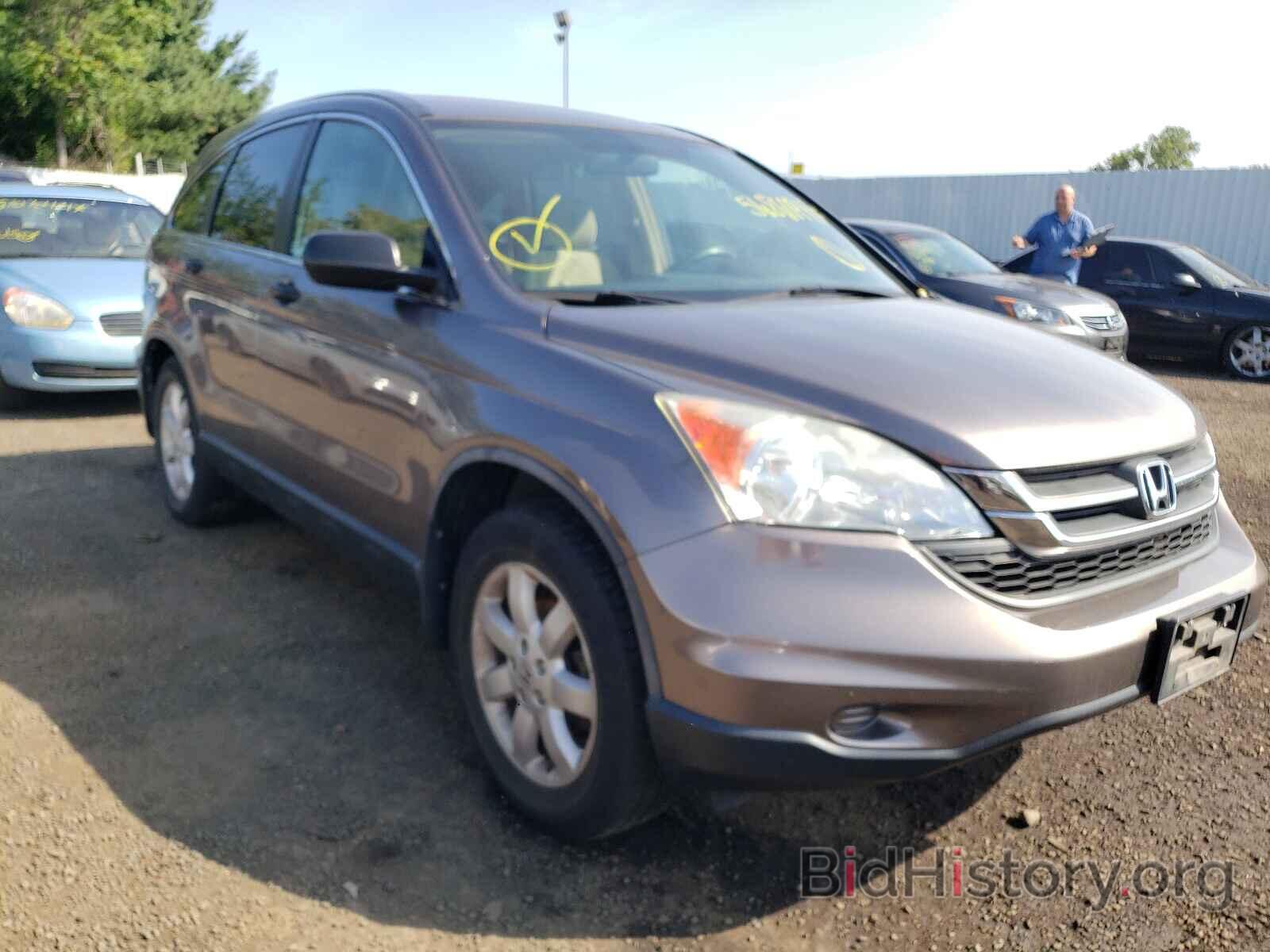 Photo 5J6RE4H48BL041513 - HONDA CRV 2011