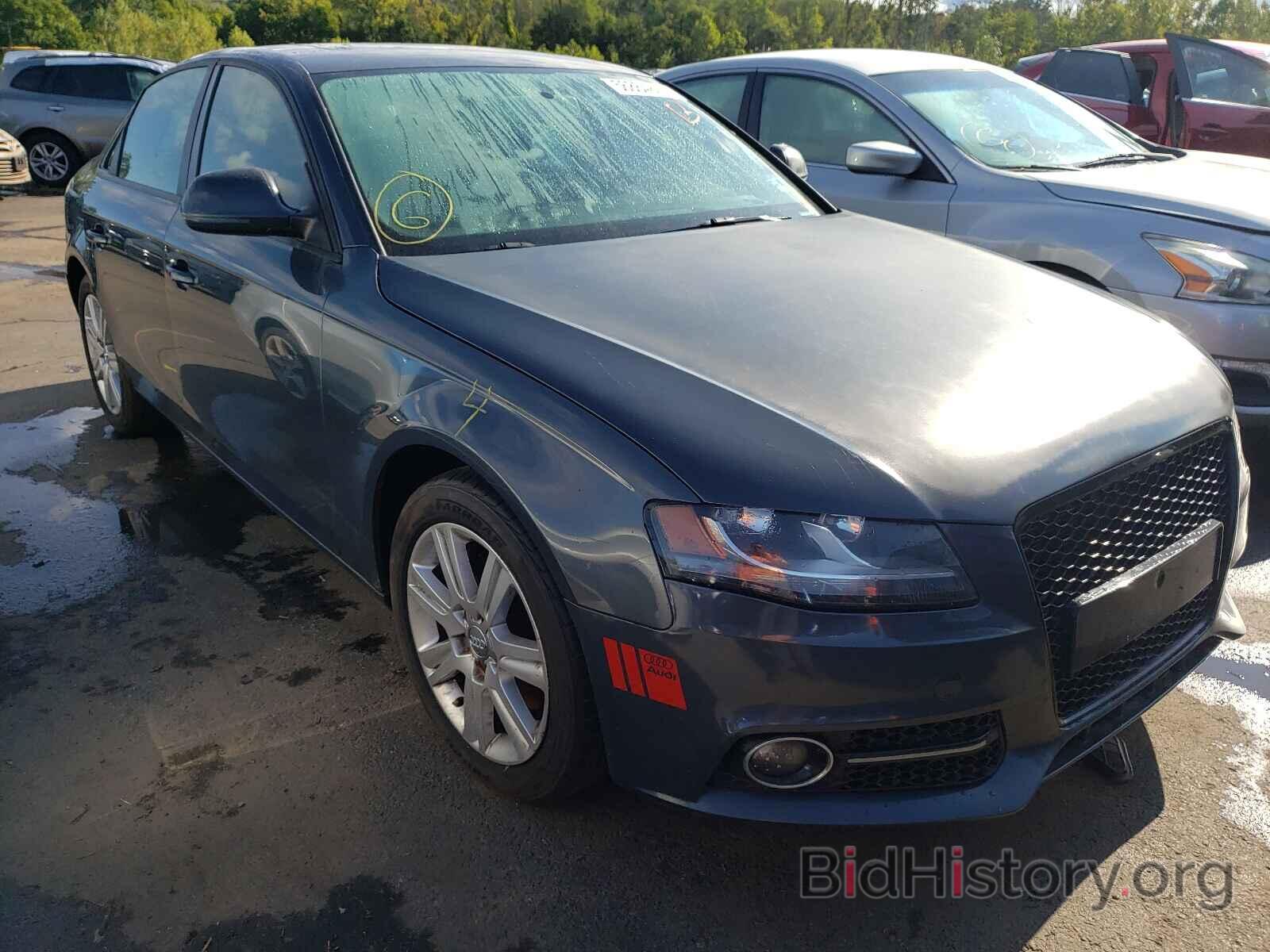 Фотография WAULF78K99N066070 - AUDI A4 2009