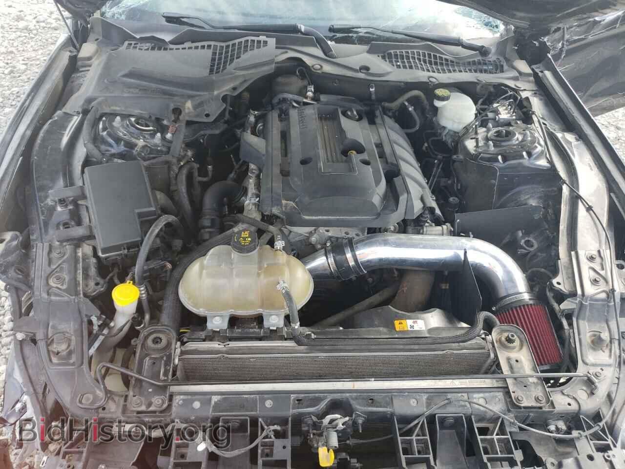 2017 FORD ALL Models - VIN: 1FA6P8THXH5320257 - Photo 11