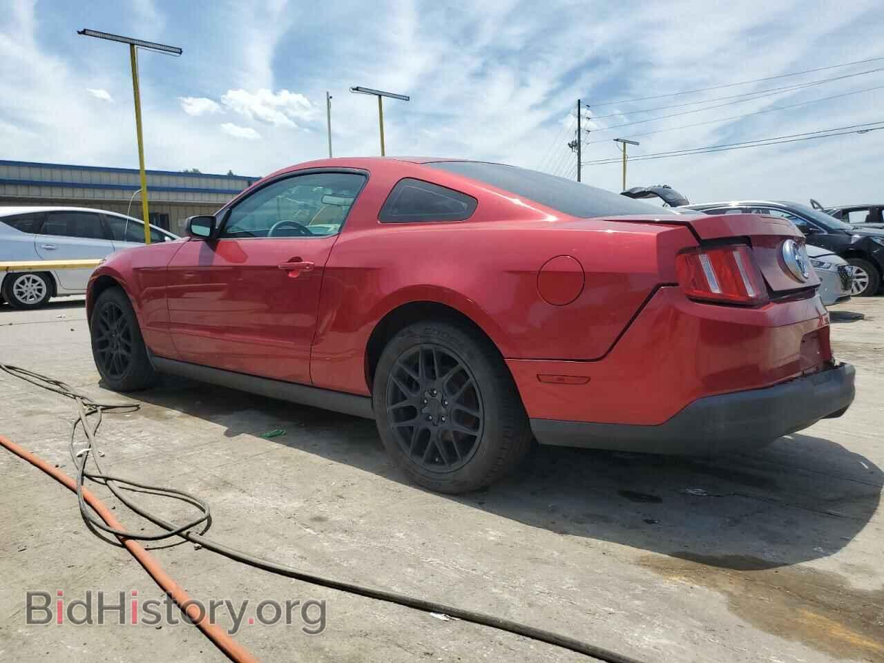 2010 FORD ALL Models - VIN: 1ZVBP8AN7A5180317 - Фото 2