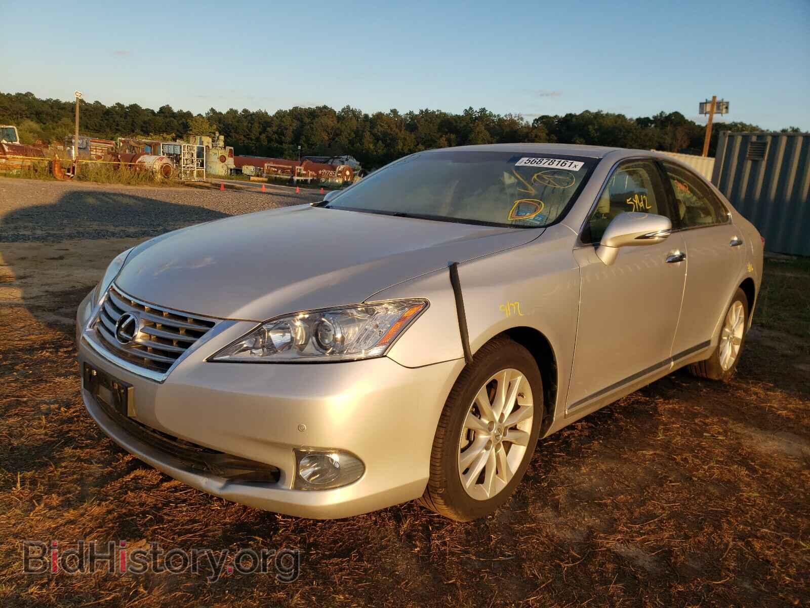 2010 LEXUS ES350 - VIN: JTHBK1EG4A2393729 - Фото 2