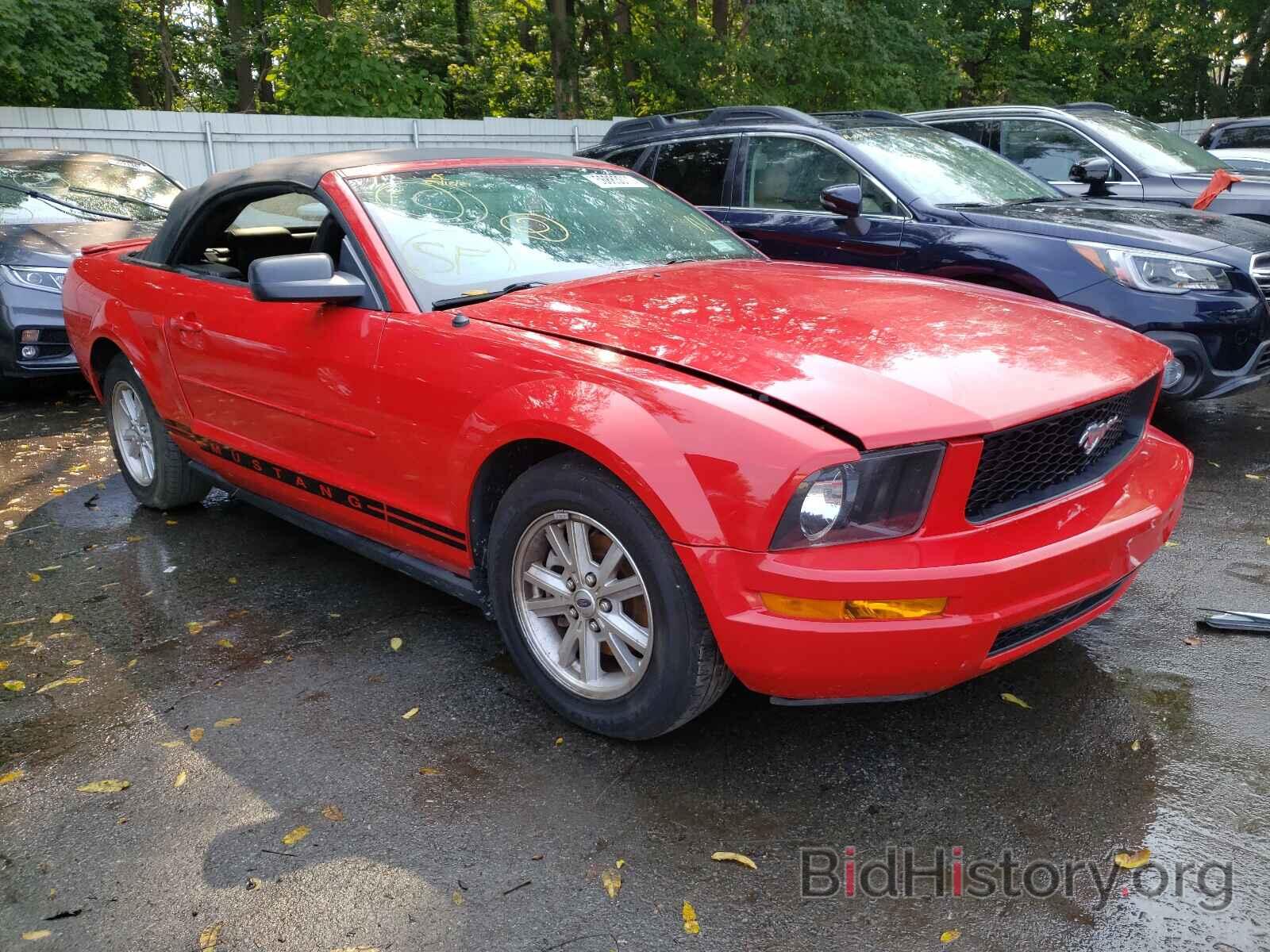 Photo 1ZVFT84N375252034 - FORD MUSTANG 2007