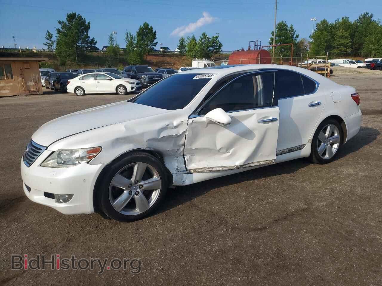 Фотография JTHBL5EF6C5111801 - LEXUS LS460 2012