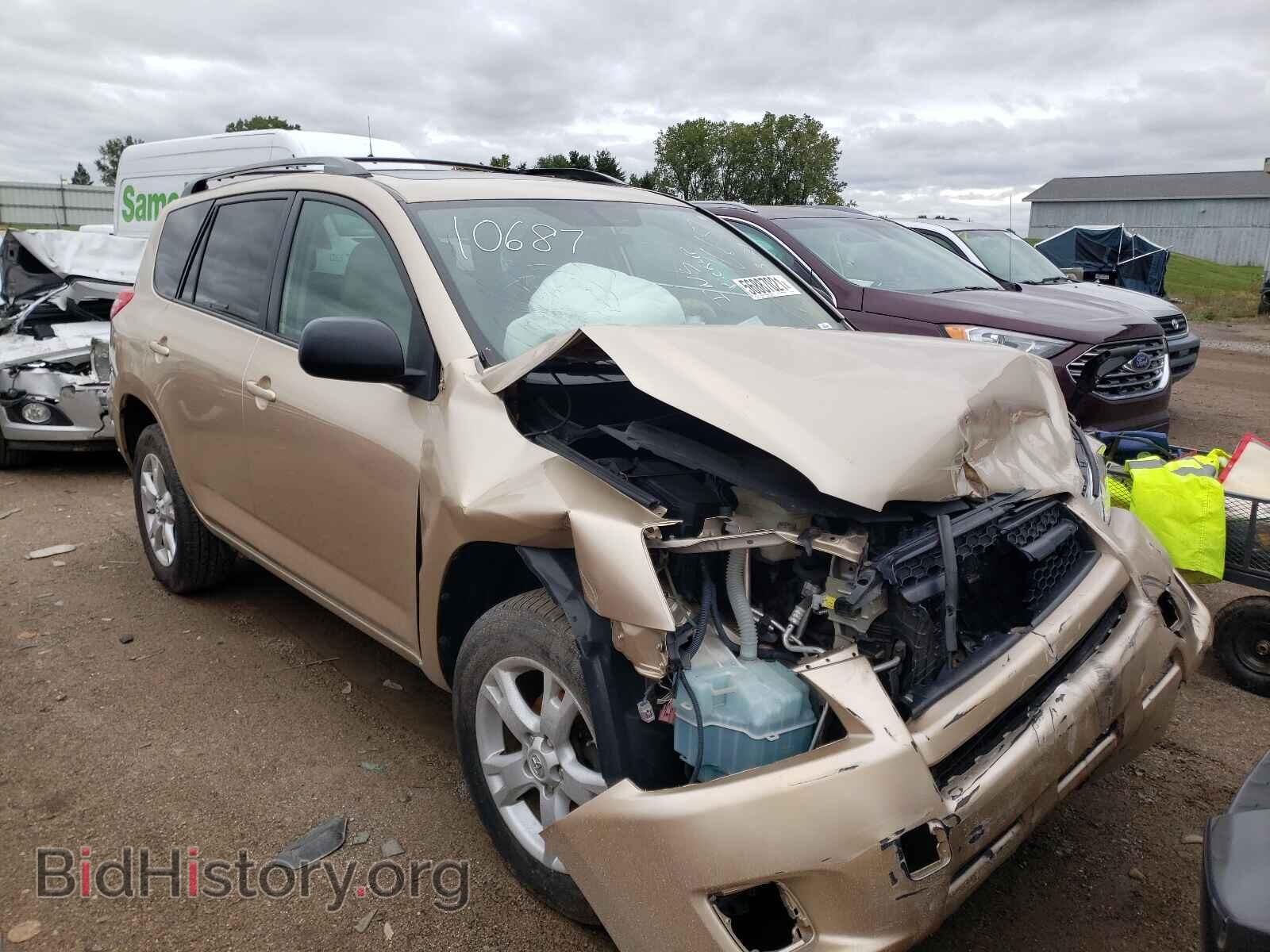 Фотография 2T3BF4DV3BW110687 - TOYOTA RAV4 2011