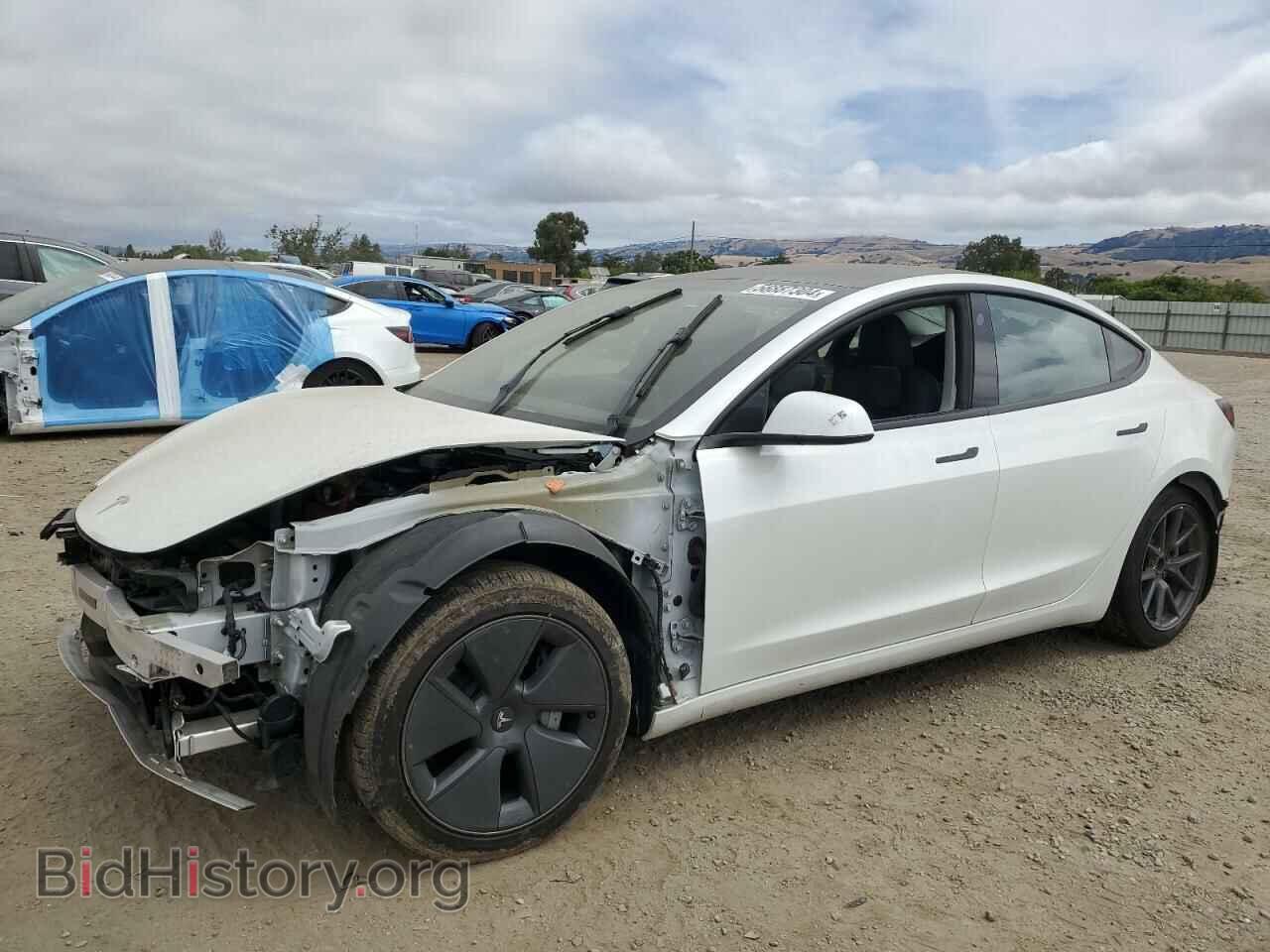 Photo 5YJ3E1EA6MF076061 - TESLA MODEL 3 2021