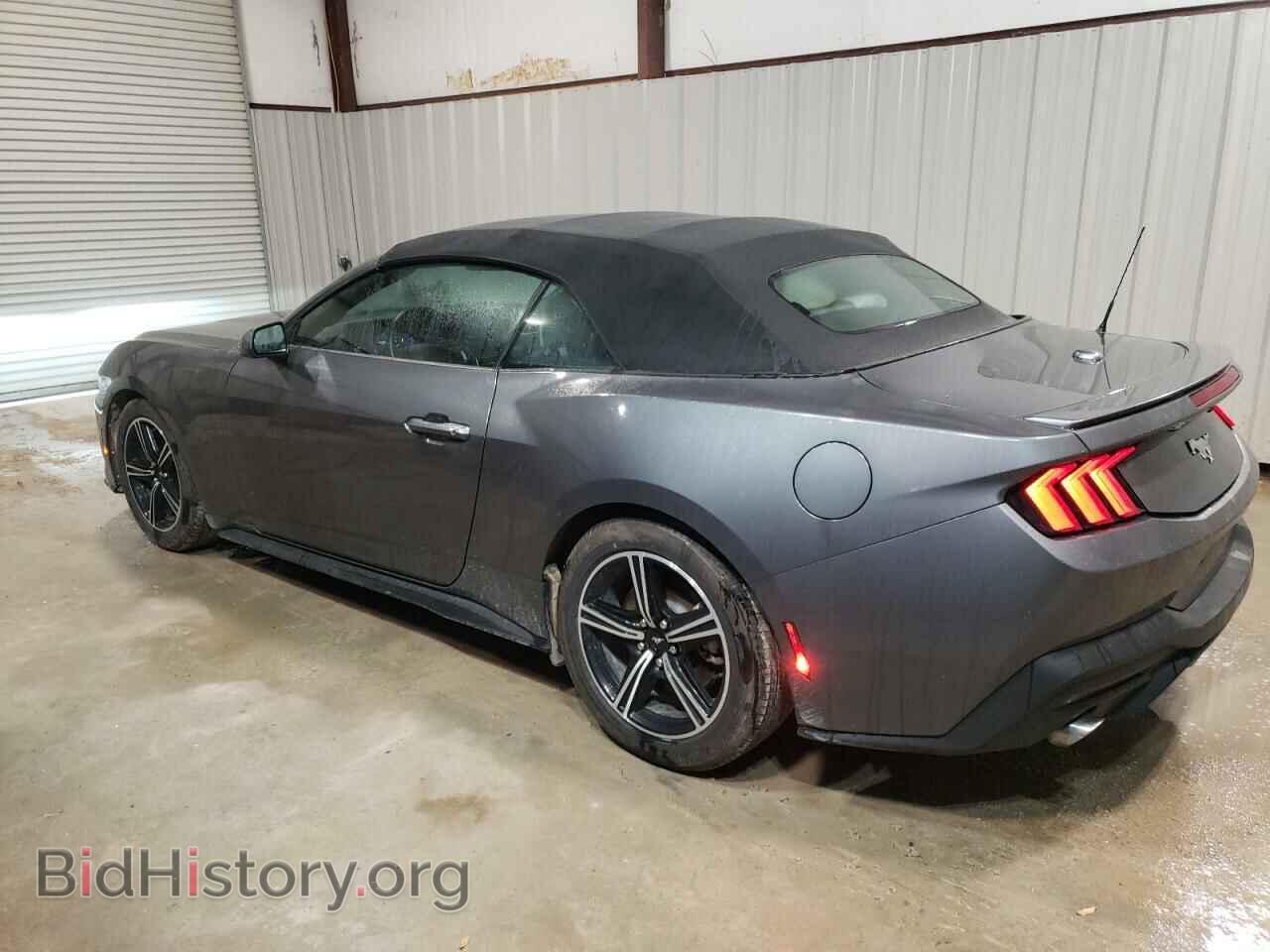 2024 FORD ALL Models - VIN: 1FAGP8UH6R5127253 - Photo 2