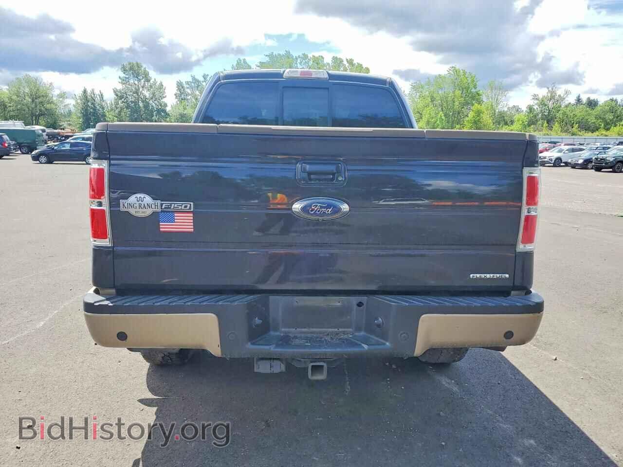 2013 FORD F150 - VIN: 1FTFW1EF9DKF07243 - Фото 6