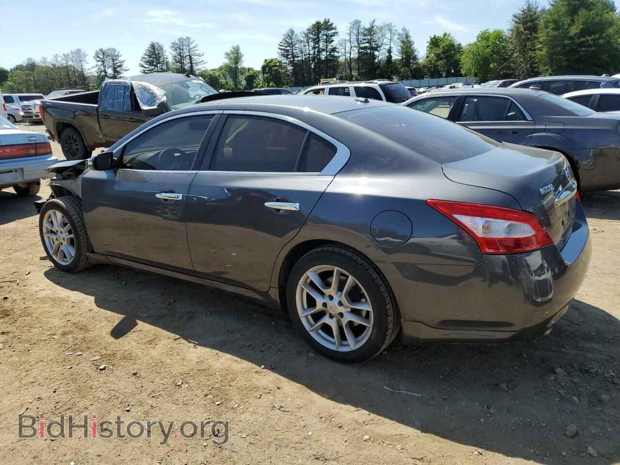 2010 NISSAN MAXIMA - VIN: 1N4AA5AP3AC818239 - Фото 2