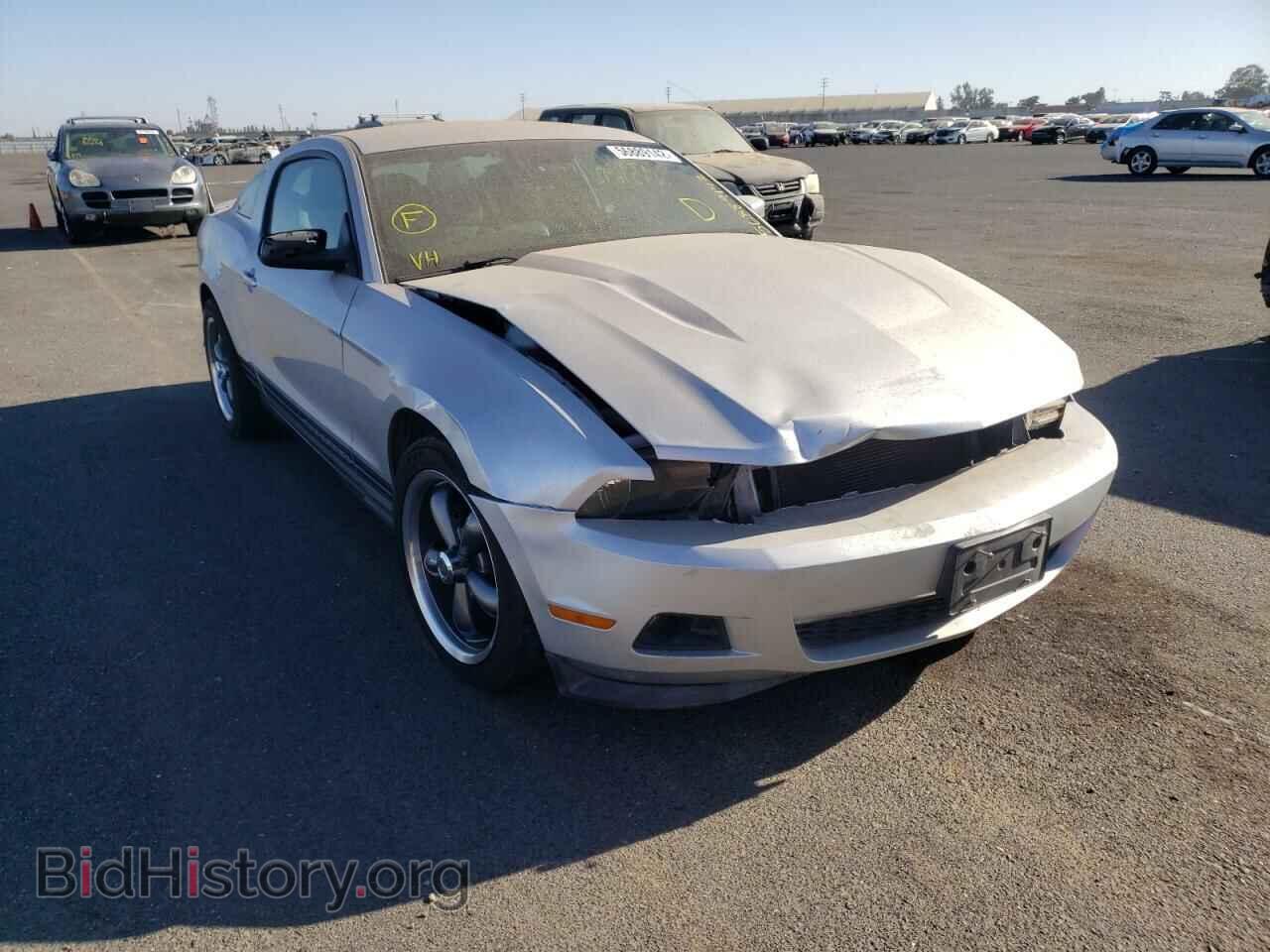 Фотография 1ZVBP8AM4C5226244 - FORD MUSTANG 2012