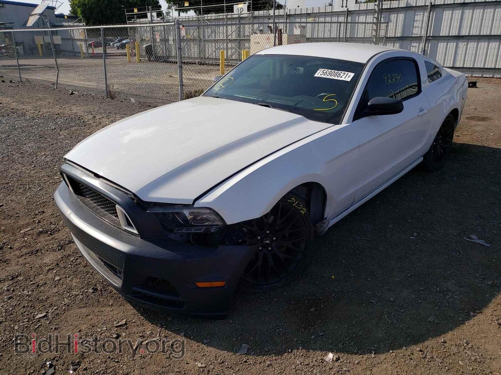 2014 FORD MUSTANG - VIN: 1ZVBP8AM2E5275302 - Фото 2