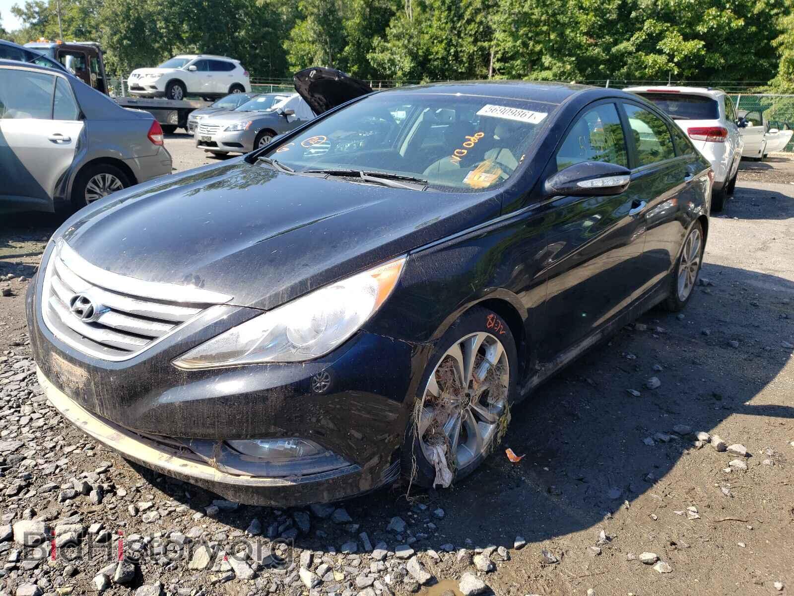 2014 HYUNDAI SONATA - VIN: 5NPEC4AB0EH855750 - Фото 2