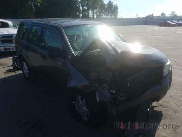 Photo 1FMCU0C76BKC40392 - FORD ESCAPE 2011