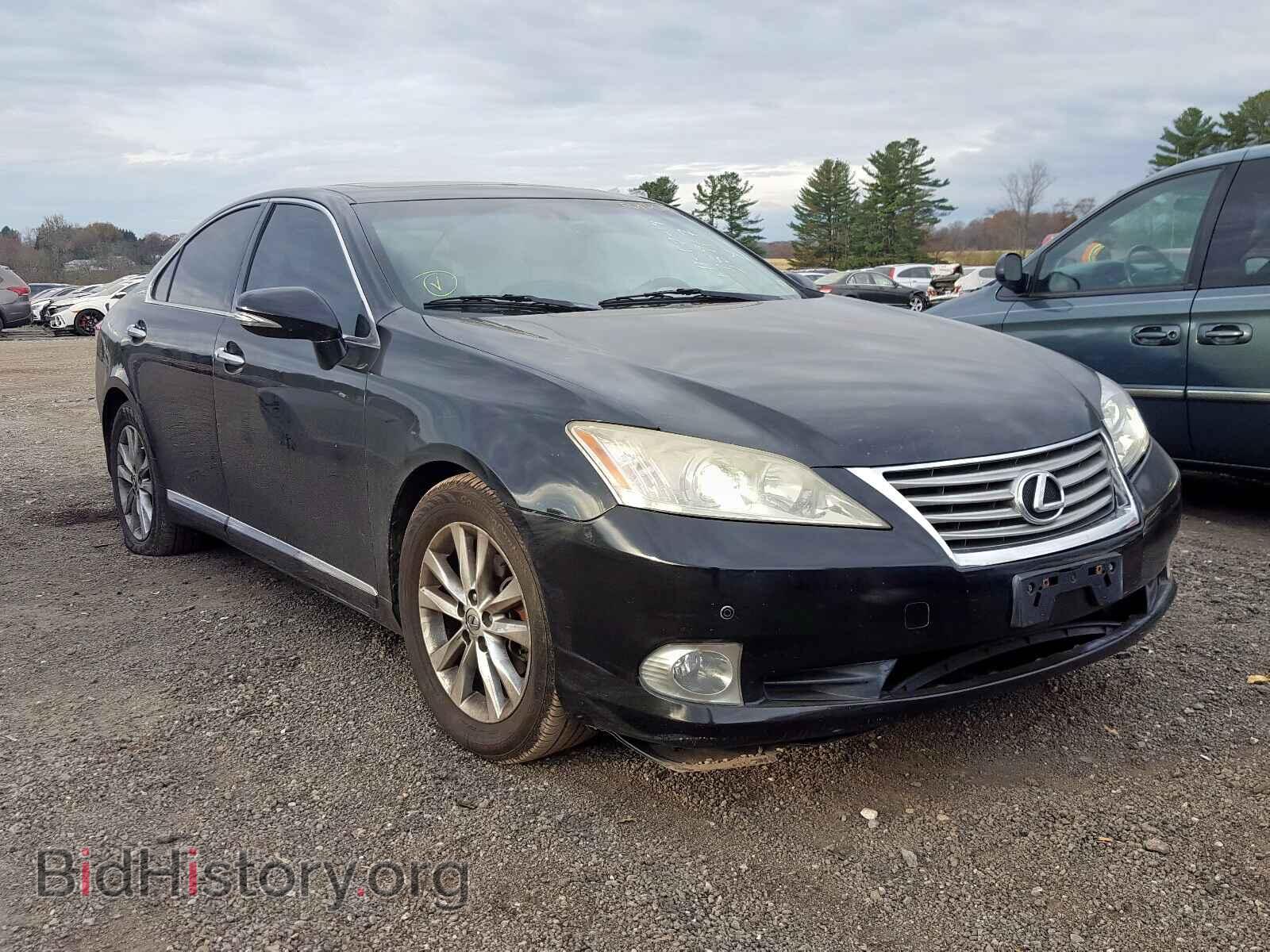 Photo JTHBK1EG8A2389831 - LEXUS ES350 2010