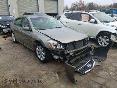 2007 Nissan MAXIMA Maxima SE, tan — VIN 1N4BA41E87C835656, Copart