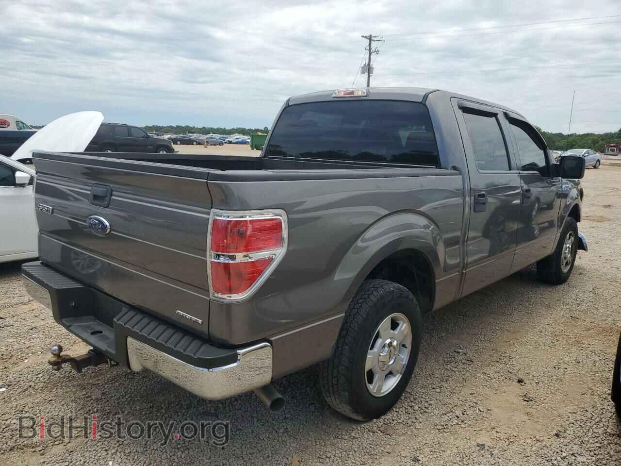 2013 FORD F-150 - VIN: 1FTFW1CF3DFD91419 - Фото 3