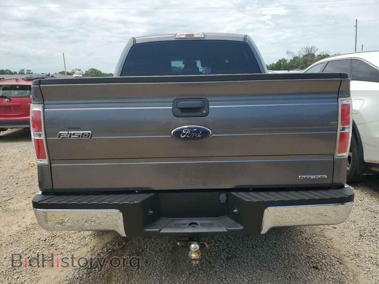 2013 FORD F-150 - VIN: 1FTFW1CF3DFD91419 - Фото 6