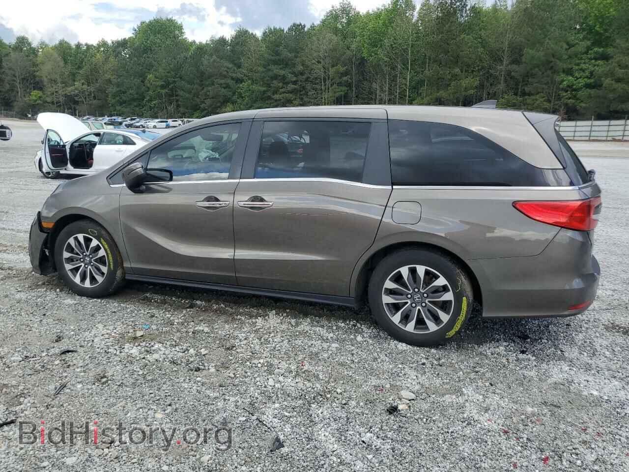 2021 HONDA All Models - VIN: 5FNRL6H72MB044687 - Photo 2