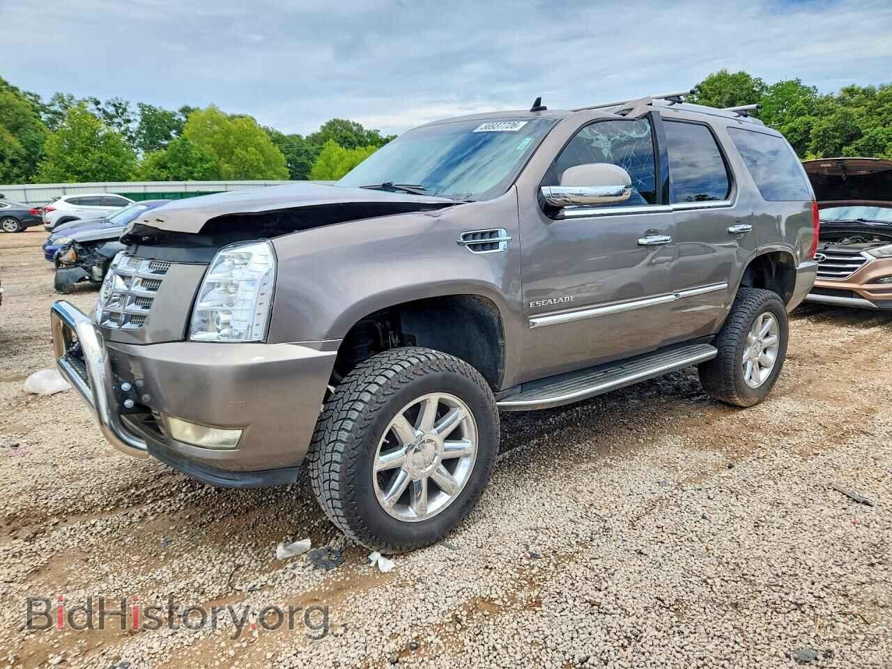 Photo 1GYS3AEF1BR360650 - CADILLAC ESCALADE 2011
